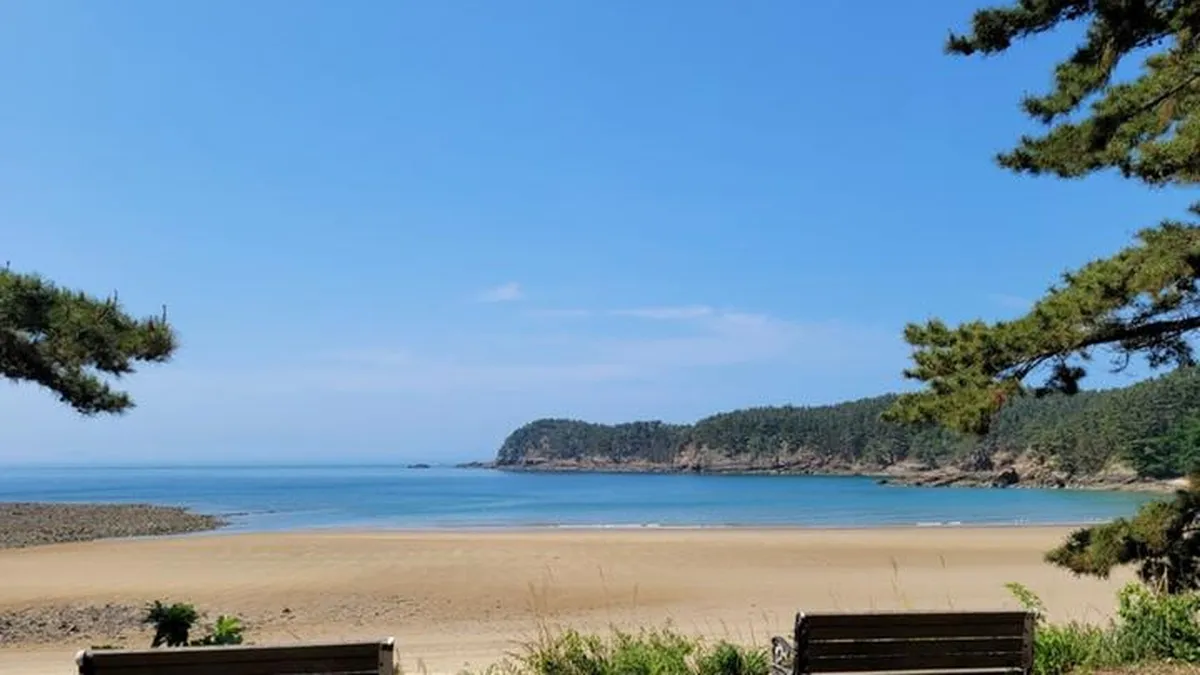 “Ngủ giữa tiếng sóng biển suốt đêm” – Khu cắm trại sát biển đẹp như phim ở Taean đang được dân Hàn săn tìm