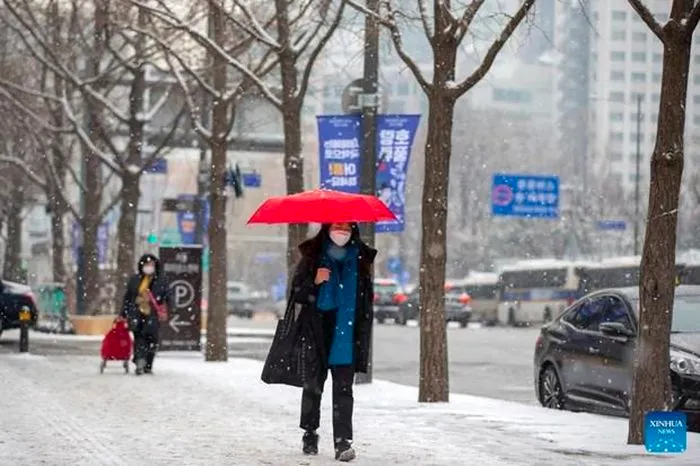 ❄️ TIẾT ĐẠI HÀN 2026: HÀN QUỐC RƠI VÀO "TỦ CẤP ĐÔNG" – CẢNH BÁO RÉT ĐẬM TOÀN QUỐC