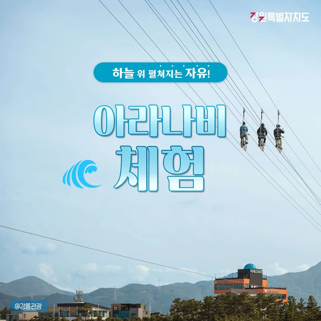 Trải Nghiệm Cảm Giác Bay Giữa Không Trung Với Zipline 아라나비 Trên Biển Siêu Kịch Tính Tại Gangneung