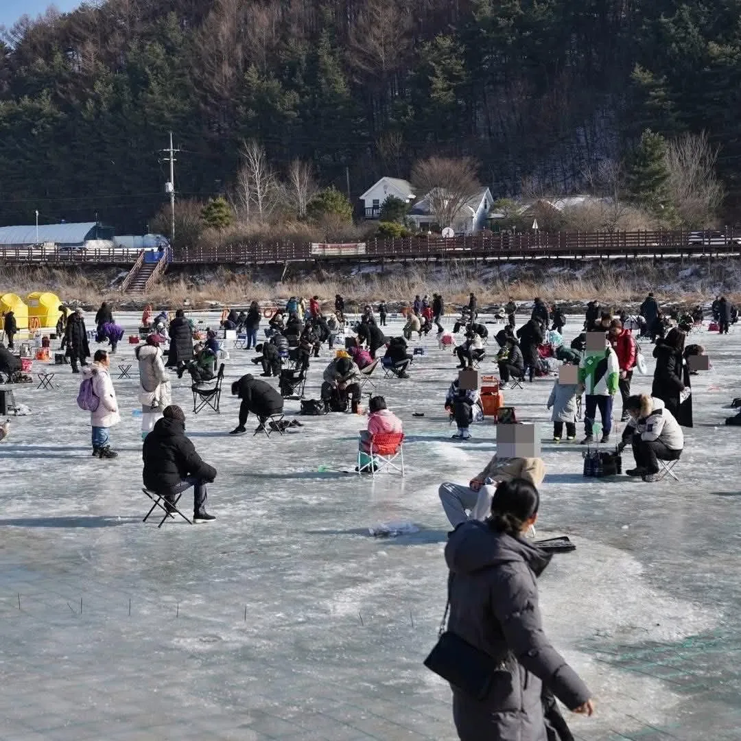  LỄ HỘI CÂU CÁ TRÊN BĂNG PYEONGCHANG 2026: TRẢI NGHIỆM "ĐỘC - LẠ" KHÔNG THỂ BỎ LỠ! 🎣