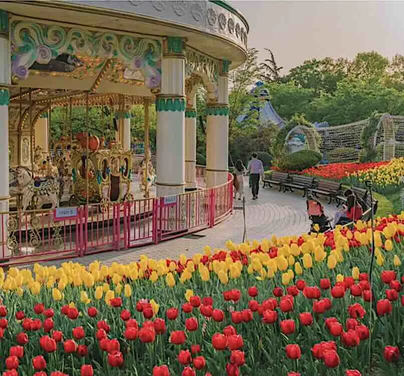 Review E-World Daegu - lạc bước giữa "Hà Lan thu nhỏ" trong lễ hội hoa tulip 2026