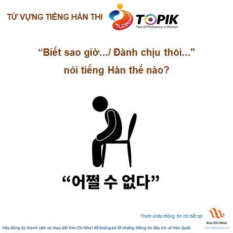 "Biết sao giờ.../ Đành chịu thôi..." tiếng Hàn là gì ???