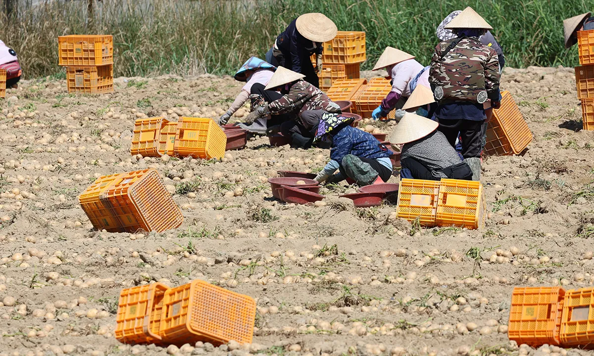 6 trên 10 lao động nước ngoài ở Hàn gặp khó vì tiếng địa phương và cách nói chuyện trong công việc