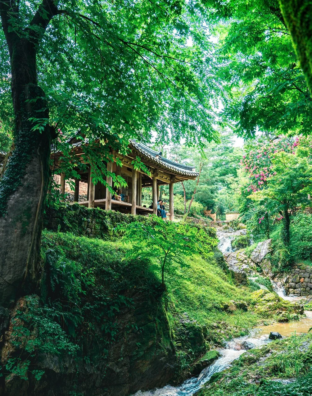 Vườn Soswaewon - góc thiên nhiên tĩnh lặng giữa lòng Damyang ( Nam Jeolla)