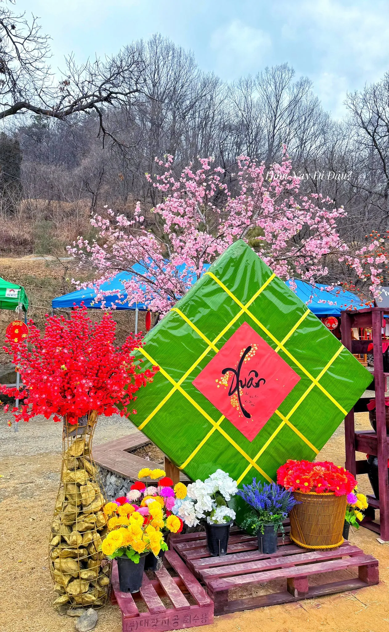 Đón Tết Việt Ở Hàn tại chùa Cheonan, ấm lòng những người con xa xứ 