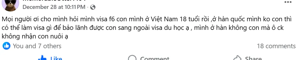 Bảo Lãnh Con Riêng Sang Hàn Khi Con Đã 18 Tuổi: Giải Pháp Nào Khi Chồng Hàn Không Đồng Ý Nhận Con Nuôi?