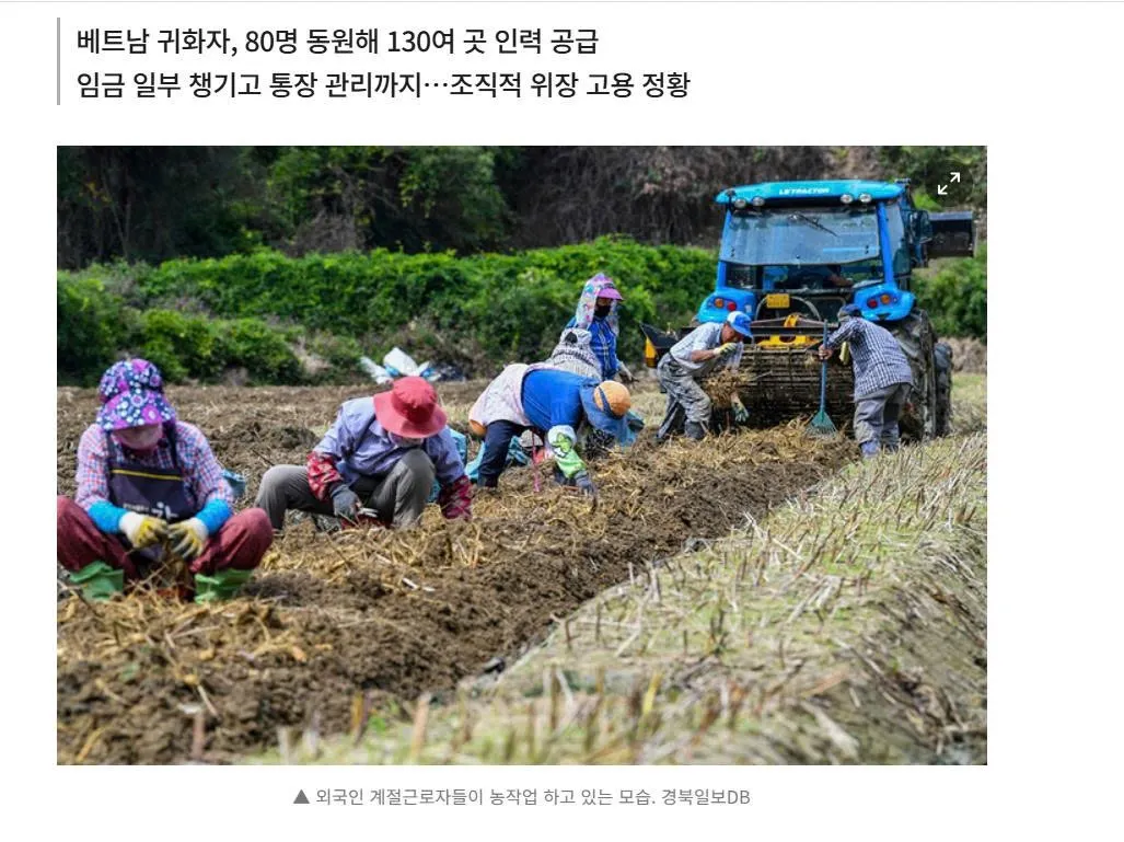 Bắt giữ môi giới lợi dụng lao động thời vụ tại Hàn Quốc: Điều tra đường dây đưa người vào làm việc trái phép tại nhiều nông trại