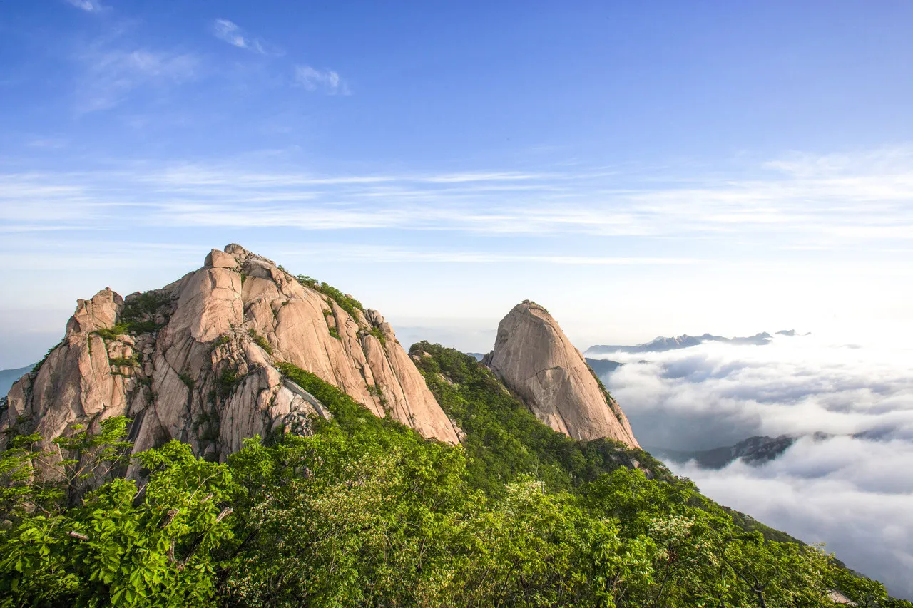 🌿 Khám Phá Seoul Đầu Đông: Đừng Bỏ Lỡ 2025 SEOUL ECO HIKING FESTA (서울 에코 하이킹 페스타)