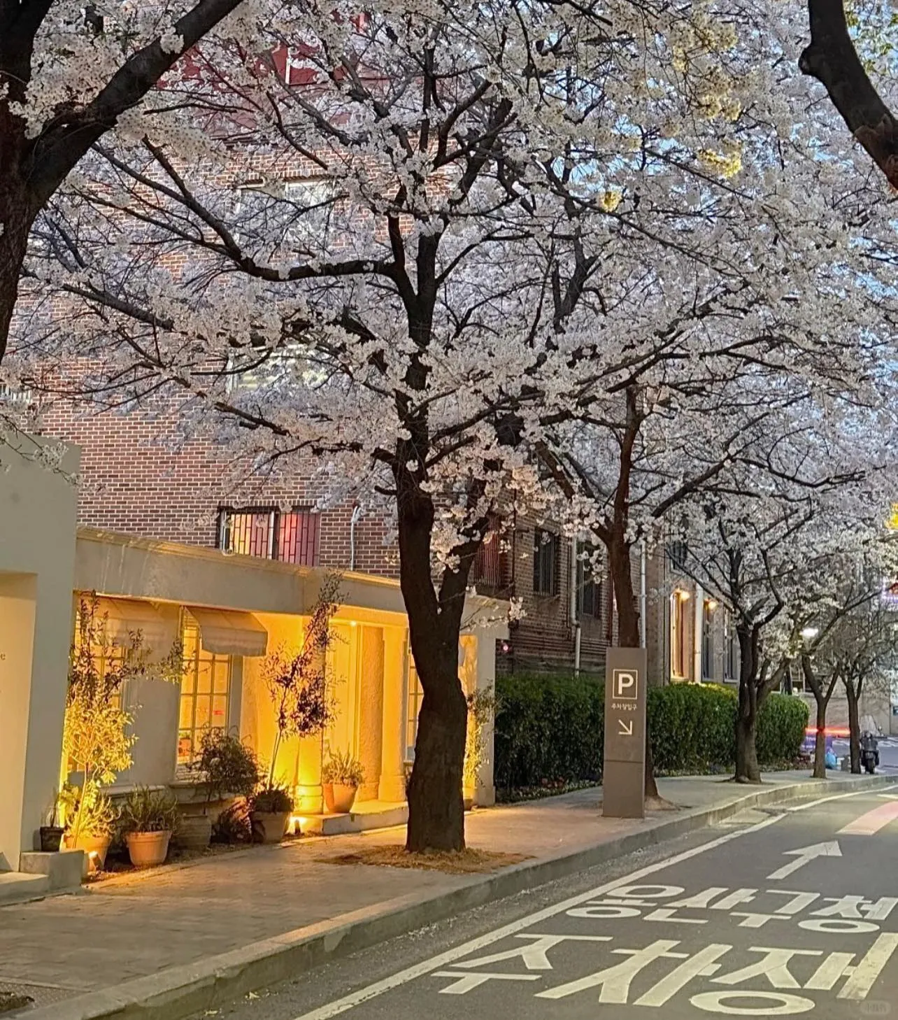 Những quán cà phê ở góc phố Noksapyeong - "con đường tơ lụa" anh đào ẩn mình giữa lòng Itaewon sầm uất 🌸☕️🍸