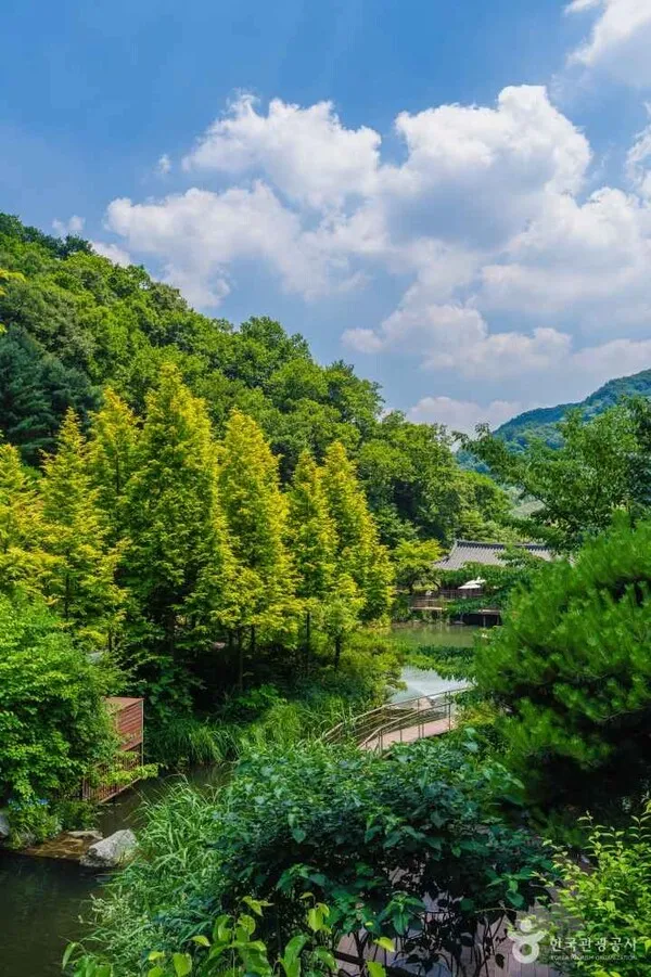 Không cần đi xa khỏi Seoul, Gwangju ở Gyeonggi vẫn đủ để chữa lành với rừng xanh, hồ nước và đường trượt luge cực đã