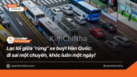 Lạc lối giữa “rừng” xe buýt Hàn Quốc: đi sai một chuyến, khóc luôn một ngày!