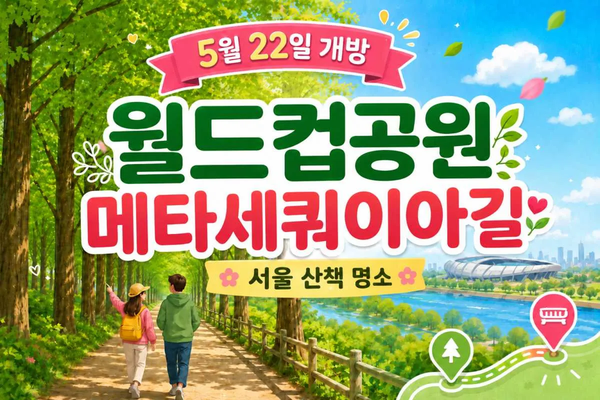 Seoul mở cửa cung đường Metasequoia dài 1km tại World Cup Park, điểm dạo bộ ngắm hoàng hôn mới giữa lòng thành phố