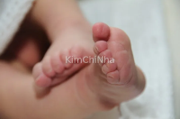 Từ ngày 19/7, Hàn Quốc chính thức triển khai hệ thống nhận con nuôi công lập – Nhà nước chịu trách nhiệm toàn bộ quy trình