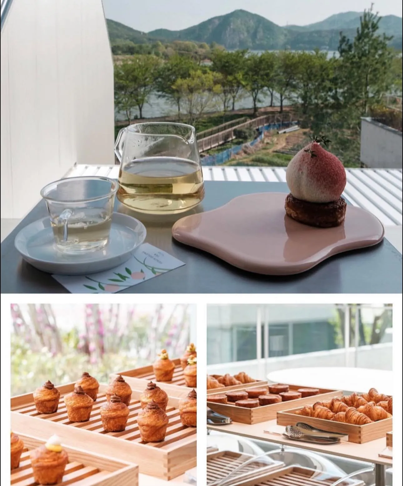 Seonyudowon: "Tiên cảnh" hiện đại giữa lòng Busan – Tọa độ ngắm hoa anh đào cực chill 🌸☕