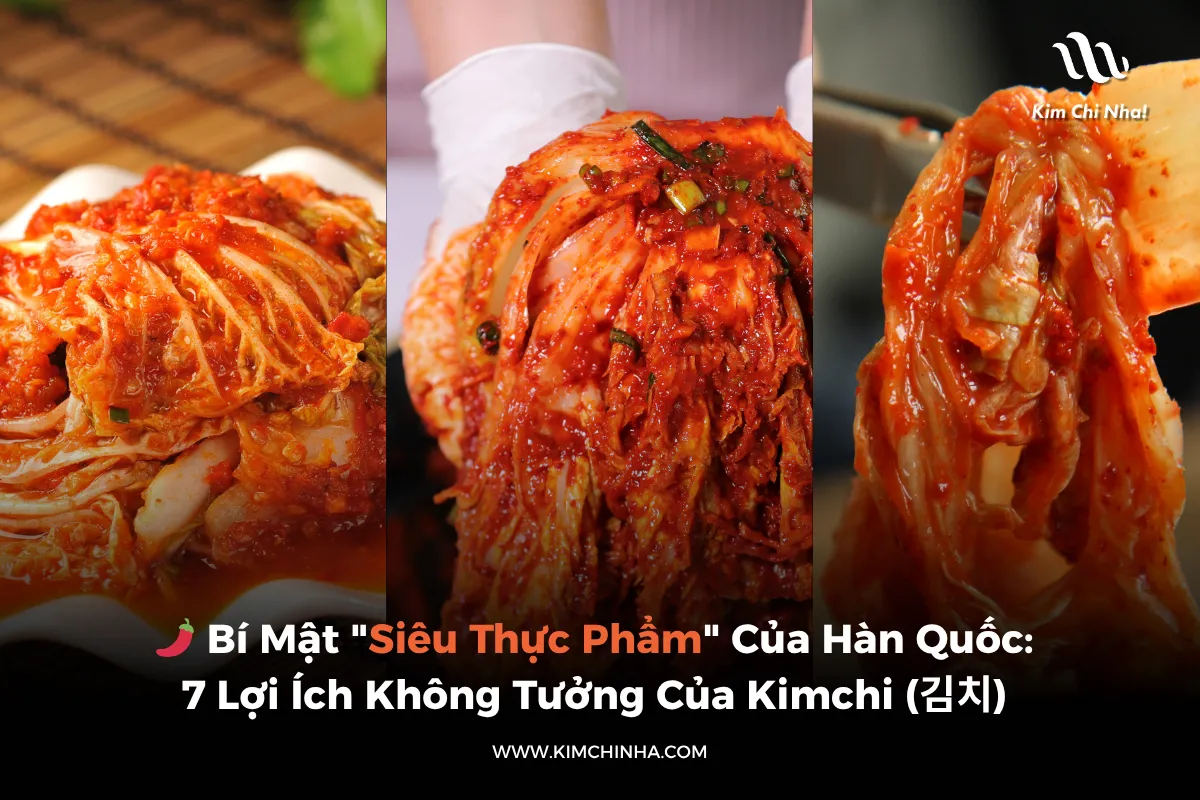 🌶️ Bí Mật "Siêu Thực Phẩm" Của Hàn Quốc: 7 Lợi Ích Không Tưởng Của Kimchi (김치)