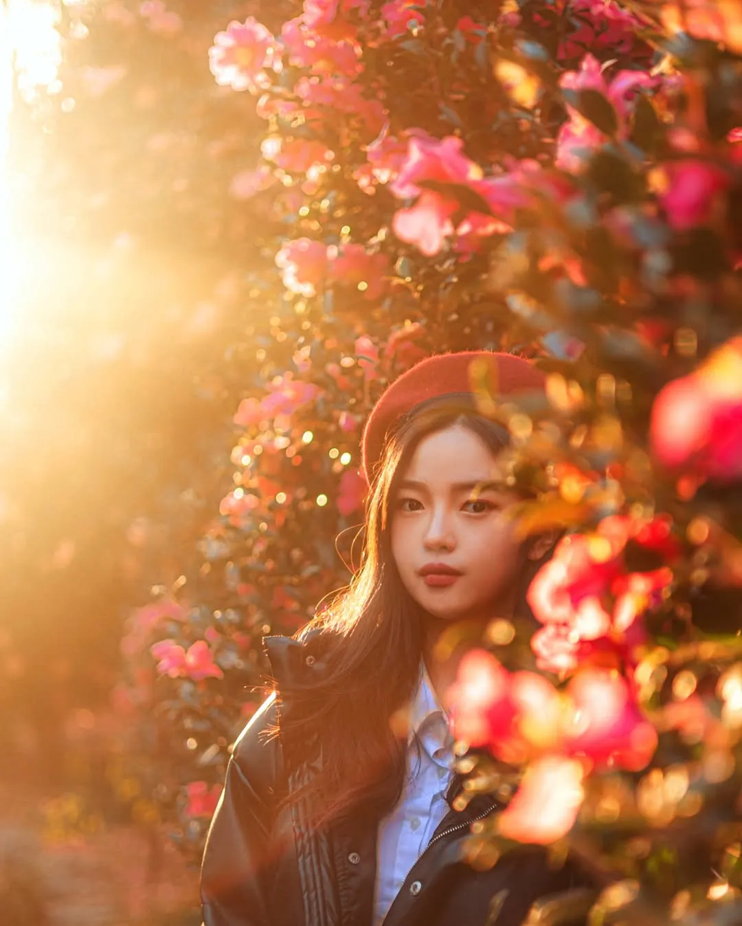 Jeju mùa hoa sơn trà nở đến rồi sao🌺💸