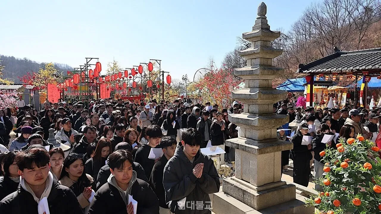 Chùa Viên Ngộ: Nơi 5.000 Trái Tim Việt Cùng Nhịp Đập Đón Tết 2026 🏮🙏✨